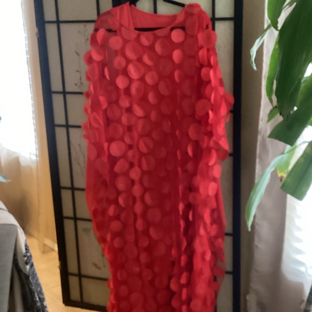 Glamorous Red Kaftan with Appliqué Details – One Size, Special Occasion